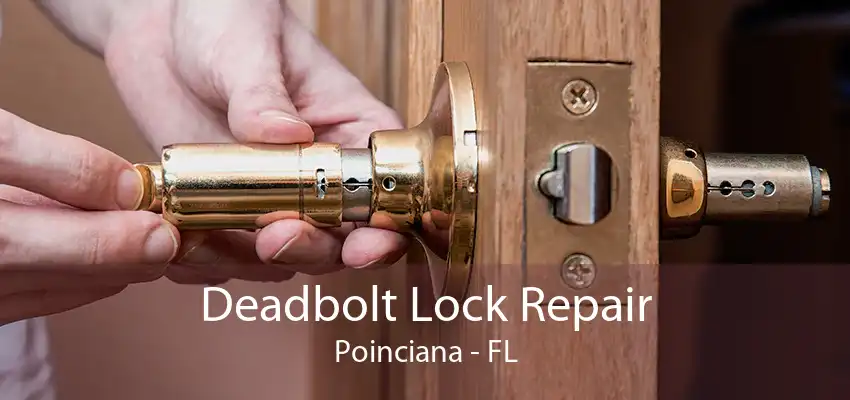 Deadbolt Lock Repair Poinciana - FL