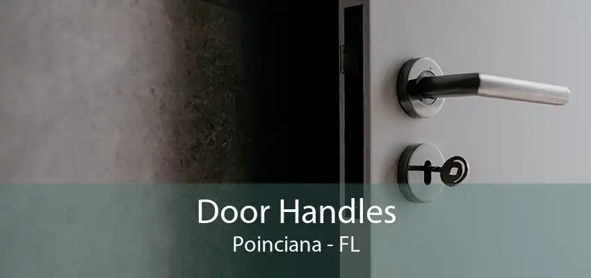 Door Handles Poinciana - FL