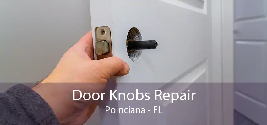 Door Knobs Repair Poinciana - FL